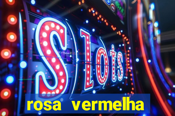 rosa vermelha (letra e cifra)